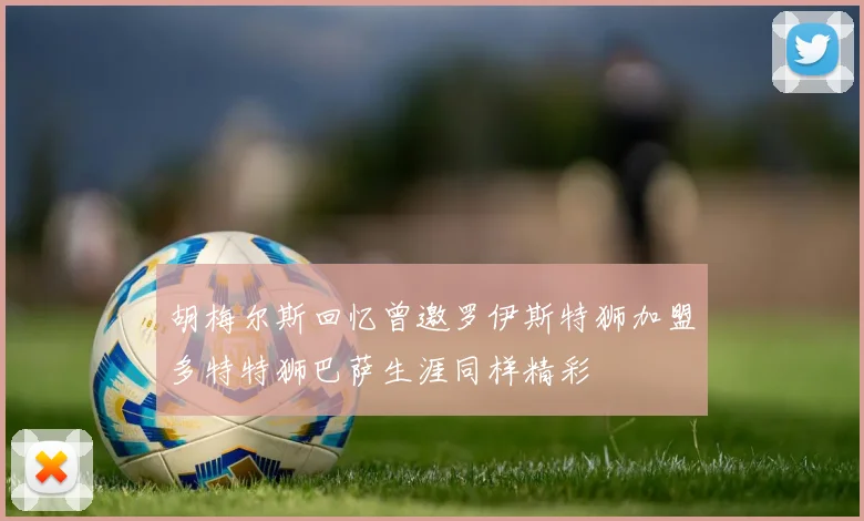 胡梅尔斯回忆曾邀罗伊斯特狮加盟多特特狮巴萨生涯同样精彩